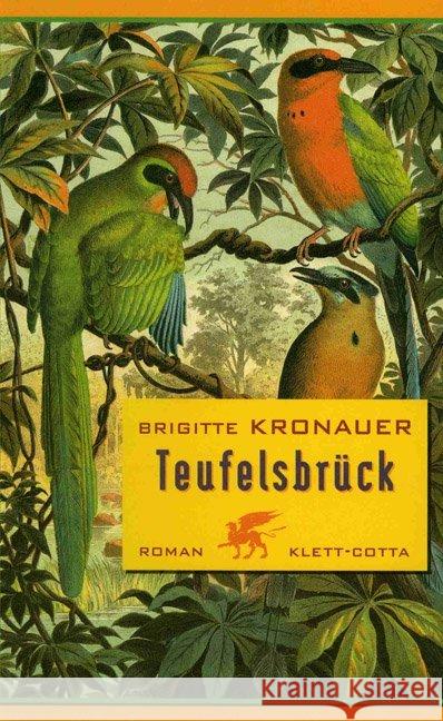 Teufelsbrück : Roman. Ausgezeichnet mit dem Johann-Jakob-von-Grimmelshausen-Preis 2003 Kronauer, Brigitte 9783608930702 Klett-Cotta - książka