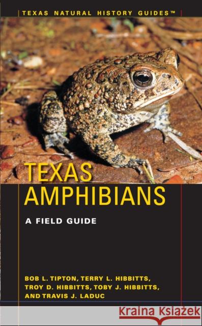 Texas Amphibians: A Field Guide Tipton, Bob L. 9780292737358 University of Texas Press - książka