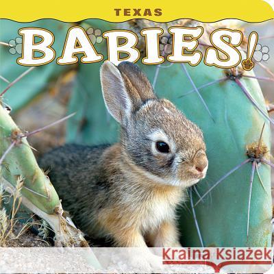 Texas Babies! Steph Lehmann 9781560376811 Farcountry Press - książka