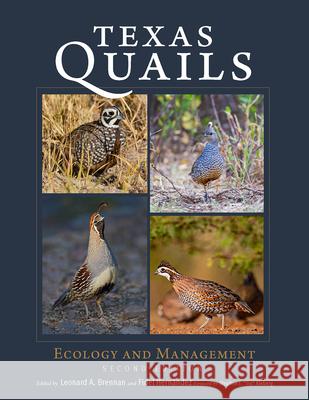 Texas Quails: Ecology and Management Leonard A. Brennan Fidel Hern?ndez Stephen J. Tio Kleberg 9781648430817 Texas A&M University Press - książka