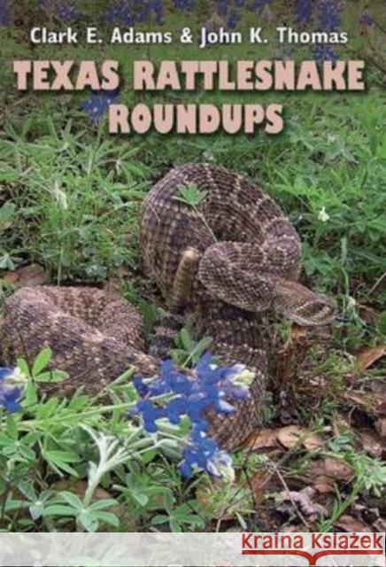 Texas Rattlesnake Roundups Clark E. Adams John K. Thomas 9781603440356 Texas A&M University Press - książka