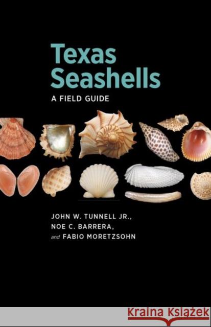 Texas Seashells: A Field Guide John W., Jr. Tunnell Noe C. Barrera Fabio Moretzsohn 9781623491673 Texas A&M University Press - książka