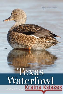 Texas Waterfowl, Volume 46 Johnson, William P. 9781603448079 Texas A&M University Press - książka