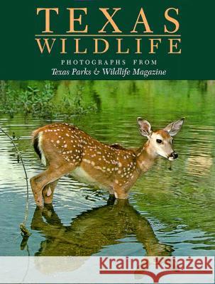 Texas Wildlife: Photographs from Texas Parks & Wildlife Magazinevolume 1 Baxter, David 9780890960479 Texas A&M University Press - książka