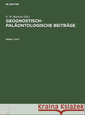 Text E W Benecke 9783486720624 Walter de Gruyter - książka
