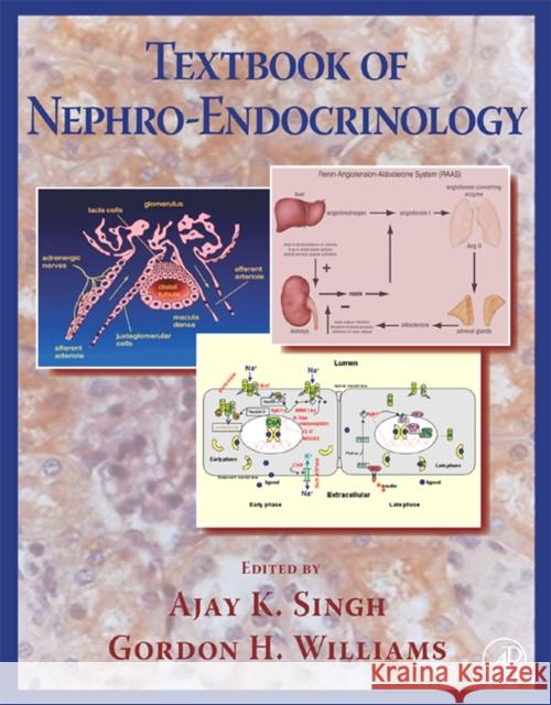 Textbook of Nephro-Endocrinology Ajay K. Singh Gordon H. Williams 9780123738707 Academic Press - książka