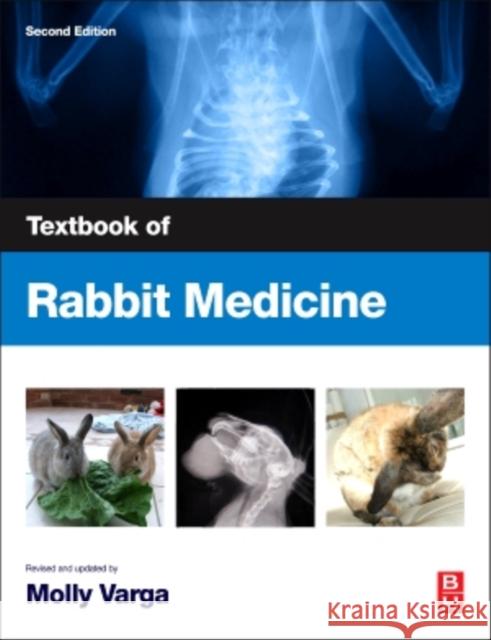Textbook of Rabbit Medicine Molly Varga 9780702049798 Butterworth-Heinemann - książka