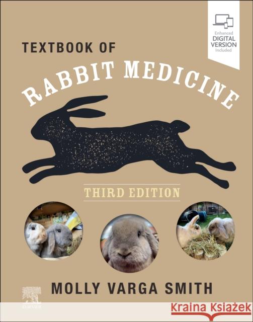 Textbook of Rabbit Medicine MOLLY VARGA SMITH 9780702084034 Elsevier Health Sciences - książka