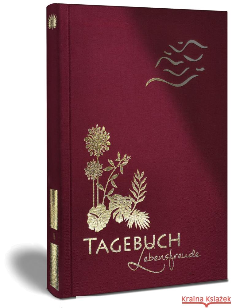 Täglich mehr Lebensfreude und Glücksgefühle Rohleder, Luca 9783982303260 dielus edition - książka