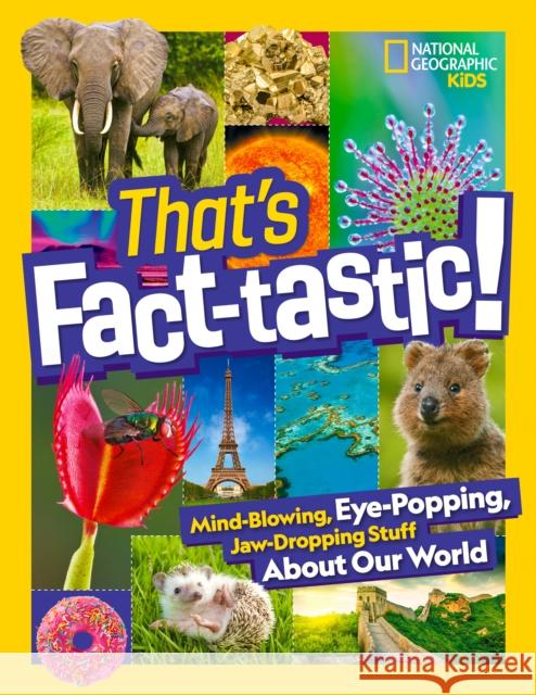 That's Fact-Tastic!: Mind-Blowing, Eye-Popping, Jaw-Dropping Stuff about Our World National Geographic 9781426372254 National Geographic Kids - książka