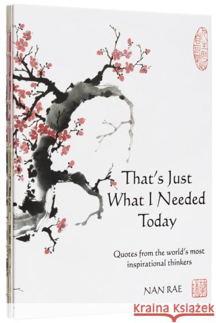 That's Just What I Needed Today: Quotes from the World's Most Inspirational Thinkers Nan Rae 9781514990001 Laughing Elephant - książka