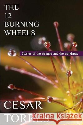 The 12 Burning Wheels Cesar Torres 9781450585545 Createspace - książka