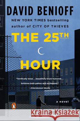 The 25th Hour David Benioff 9780452282957 Plume Books - książka