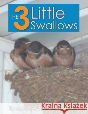 The 3 Little Swallows Ernesto Amaranto 9781682565834 Litfire Publishing, LLC - książka
