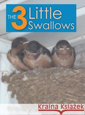 The 3 Little Swallows Ernesto Amaranto 9781682568958 Litfire Publishing, LLC - książka