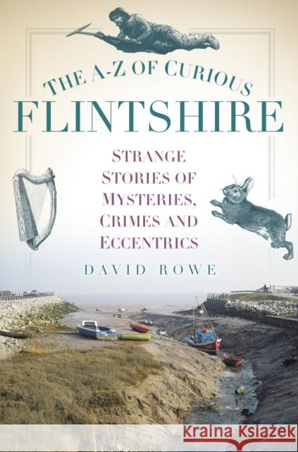 The A-Z of Curious Flintshire: Strange Stories of Mysteries, Crimes and Eccentrics David Rowe 9780752493282 The History Press - książka