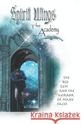 The Academy: Spirit Wings - Book One Solis, Sandy 9798730232402 Independently published - książka