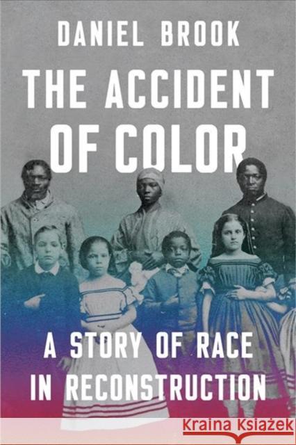 The Accident of Color: A Story of Race in Reconstruction Daniel Brook 9780393531725 W. W. Norton & Company - książka