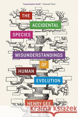 The Accidental Species: Misunderstandings of Human Evolution Gee, Henry 9780226271200 University of Chicago Press - książka