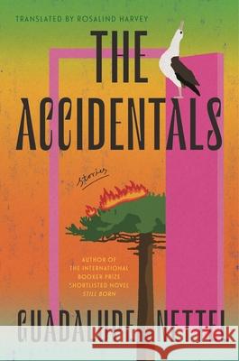 The Accidentals: Stories Guadalupe Nettel Rosalind Harvey 9781639734924 Bloomsbury Publishing - książka