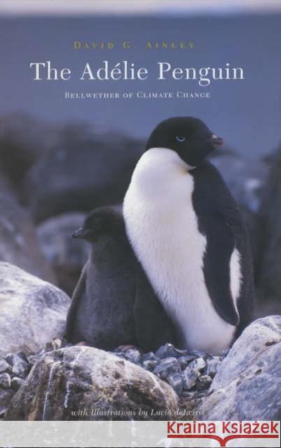 The Adélie Penguin: Bellwether of Climate Change Ainley, David 9780231123068 Columbia University Press - książka