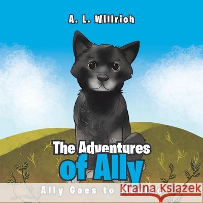 The Adventures of Ally: Ally Goes to Mexico A L Willrich 9781640885677 Trilogy Christian Publishing - książka