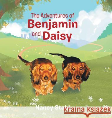 The Adventures of Benjamin and Daisy Nancy Stahl 9781644241929 Page Publishing, Inc. - książka