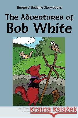 The Adventures of Bob White Thornton W. Burgess Harrison Cady 9781604599732 Flying Chipmunk Publishing - książka