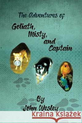 The Adventures of Goliath, Misty, and Captain John Wesley 9781645305897 Dorrance Publishing Co. - książka