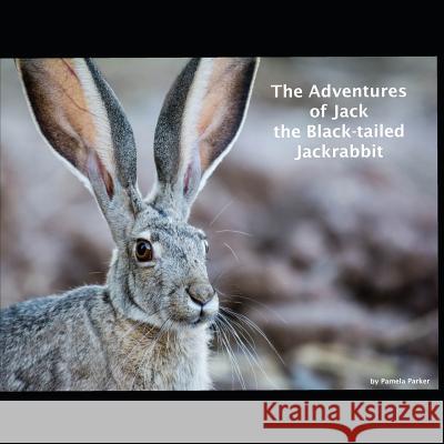 The Adventures of Jack the Black-Tailed Jackrabbit Pamela L. Parker 9781726467391 Createspace Independent Publishing Platform - książka