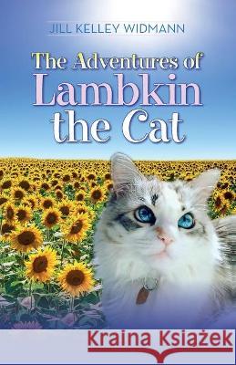 The Adventures of Lambkin the Cat Jill Kelley Widmann 9781649906649 Palmetto Publishing - książka