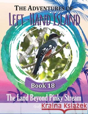 The Adventures of Left-Hand Island: Book 18: Book 18 - The Land Beyond Pinky Stream: The Land Beyond Pinky Stream Godfrey Apap 9781990133305 Godfrey Apap - książka