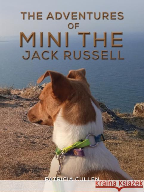 The Adventures of Mini the Jack Russell Patricia Cullen 9781035816255 Austin Macauley - książka