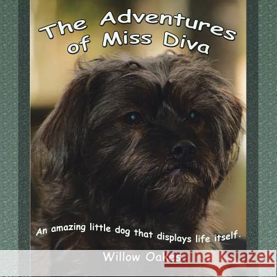 The Adventures of Miss Diva Willow Oakes 9781490782881 Trafford Publishing - książka