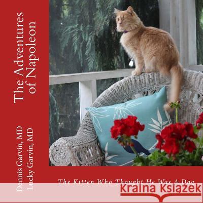 The Adventures of Napoleon: The Kitten Who Thought He Was A Dog Garvin MD, Dennis 9781530281107 Createspace Independent Publishing Platform - książka
