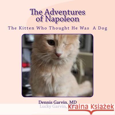 The Adventures of Napoleon: The Kitten Who Thought He Was A Dog Lucky Garvi Dennis Garvi 9781530801893 Createspace Independent Publishing Platform - książka