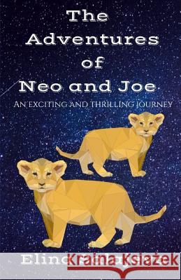 The Adventures of Neo and Joe. Miss Elina Salajeva 9781540677129 Createspace Independent Publishing Platform - książka