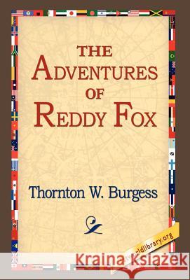 The Adventures of Reddy Fox Thornton W. Burgess 9781421809953 1st World Library - książka