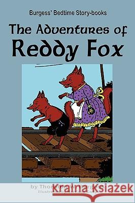 The Adventures of Reddy Fox Thornton W. Burgess Harrison Cady 9781604599565 Flying Chipmunk Publishing - książka