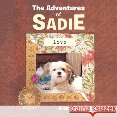 The Adventures of Sadie Mary Talmage 9781663208262 iUniverse - książka