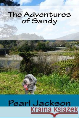 The Adventures of Sandy Pearl Jackson 9781979705882 Createspace Independent Publishing Platform - książka
