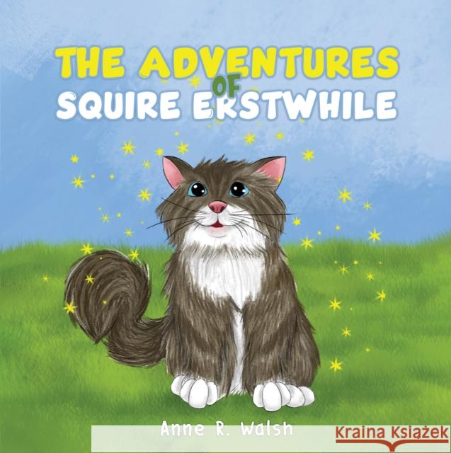 The Adventures of Squire Erstwhile Anne R. Walsh 9781528911887 Austin Macauley Publishers - książka