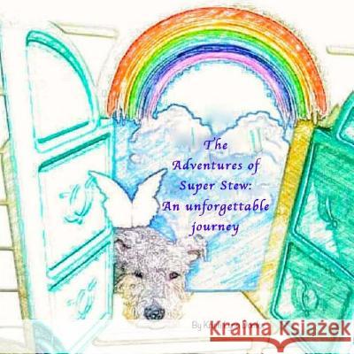 The Adventures of Super Stew: An unforgettable journey Domke, Kristi Lynn 9781534906709 Createspace Independent Publishing Platform - książka