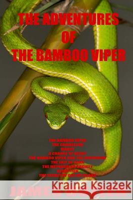 The Adventures Of The Bamboo Viper Butler, James 9781502791238 Createspace - książka