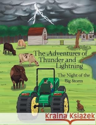 The Adventures of Thunder and Lightning: The Night of the Big Storm Darrell Shay 9781480842021 Archway Publishing - książka