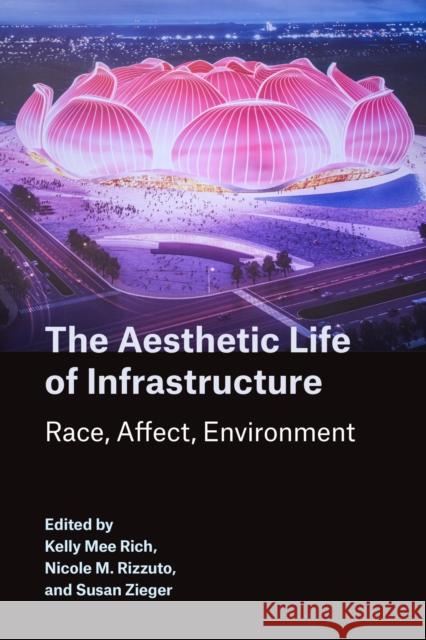 The Aesthetic Life of Infrastructure: Race, Affect, Environment Rich, Kelly M. 9780810145504 Northwestern University Press - książka