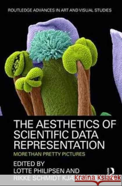 The Aesthetics of Scientific Data Representation: More Than Pretty Pictures Rikke Schmid Lotte Philipsen 9781138679375 Routledge - książka