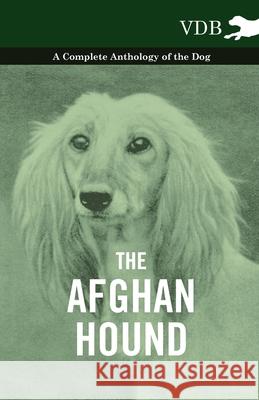 The Afghan Hound - A Complete Anthology of the Dog - Various 9781445525808 Vintage Dog Books - książka