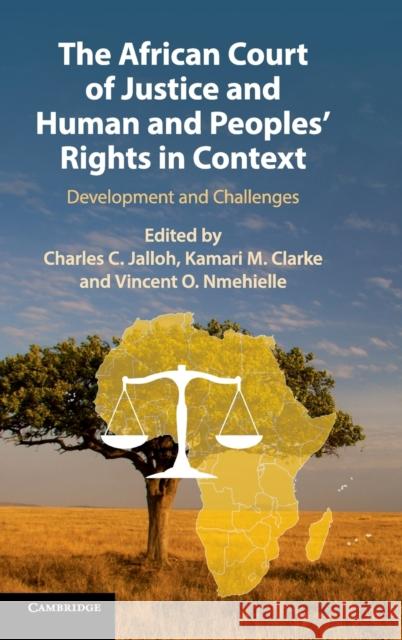 The African Court of Justice and Human and Peoples' Rights in Context: Development and Challenges Charles C. Jalloh Kamari M. Clarke Vincent O. Nmehielle 9781108422734 Cambridge University Press - książka
