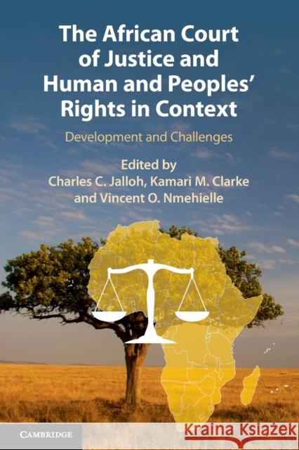 The African Court of Justice and Human and Peoples' Rights in Context: Development and Challenges Jalloh, Charles C. 9781108436922 Cambridge University Press - książka